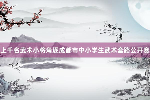 上千名武术小将角逐成都市中小学生武术套路公开赛