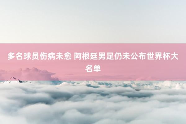 多名球员伤病未愈 阿根廷男足仍未公布世界杯大名单