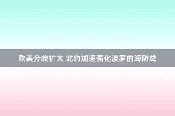 欧美分歧扩大 北约加速强化波罗的海防线