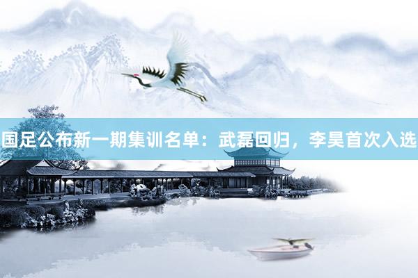国足公布新一期集训名单：武磊回归，李昊首次入选