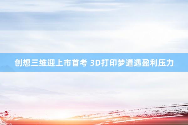 创想三维迎上市首考 3D打印梦遭遇盈利压力