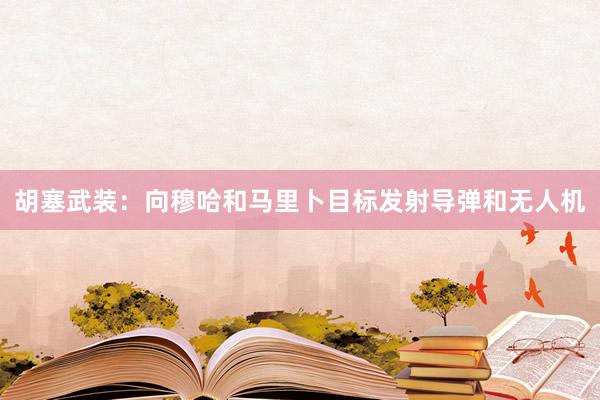 胡塞武装：向穆哈和马里卜目标发射导弹和无人机