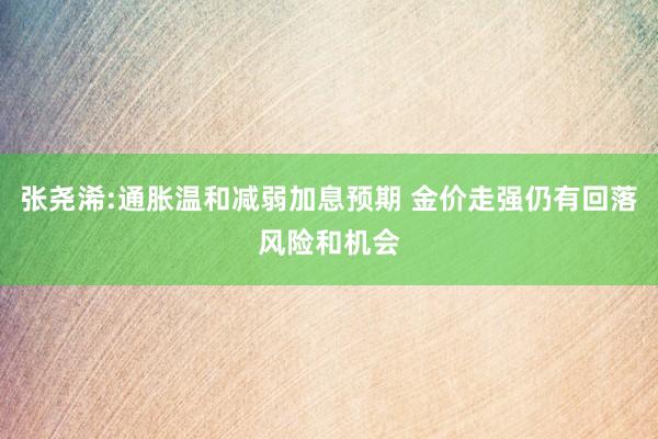 张尧浠:通胀温和减弱加息预期 金价走强仍有回落风险和机会