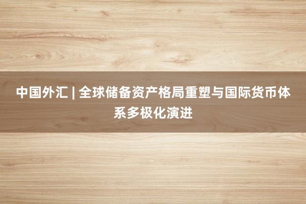 中国外汇 | 全球储备资产格局重塑与国际货币体系多极化演进