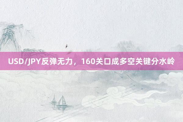 USD/JPY反弹无力，160关口成多空关键分水岭