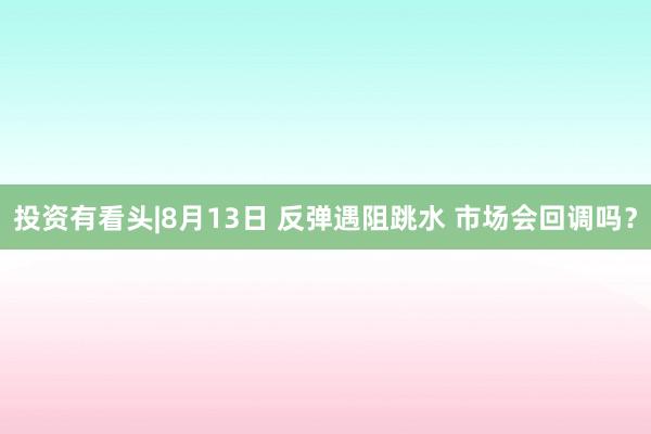 投资有看头|8月13日 反弹遇阻跳水 市场会回调吗？