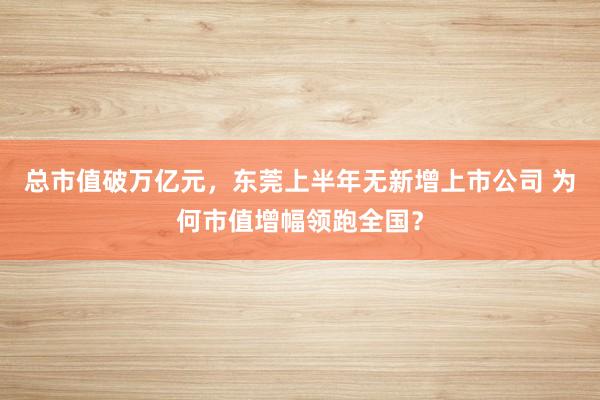 总市值破万亿元，东莞上半年无新增上市公司 为何市值增幅领跑全国？