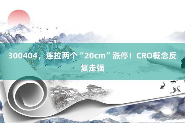 300404，连拉两个“20cm”涨停！CRO概念反复走强