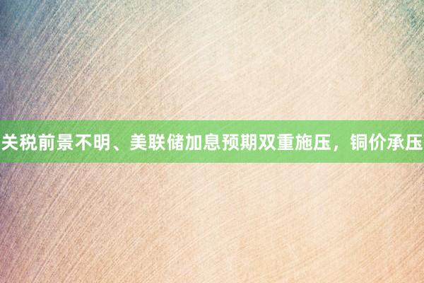 关税前景不明、美联储加息预期双重施压,铜价承压