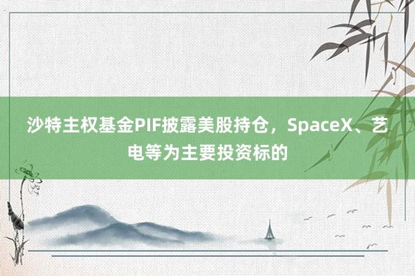 沙特主权基金PIF披露美股持仓，SpaceX、艺电等为主要投资标的