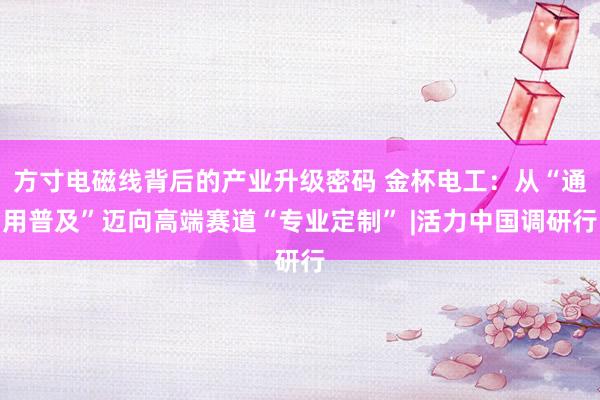 方寸电磁线背后的产业升级密码 金杯电工：从“通用普及”迈向高端赛道“专业定制” |活力中国调研行
