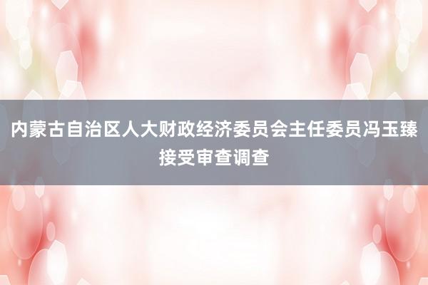 内蒙古自治区人大财政经济委员会主任委员冯玉臻接受审查调查