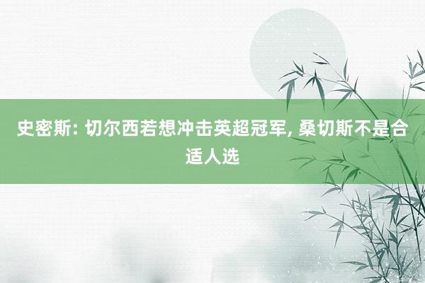史密斯: 切尔西若想冲击英超冠军, 桑切斯不是合适人选