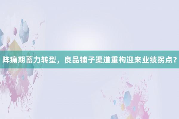 阵痛期蓄力转型，良品铺子渠道重构迎来业绩拐点？