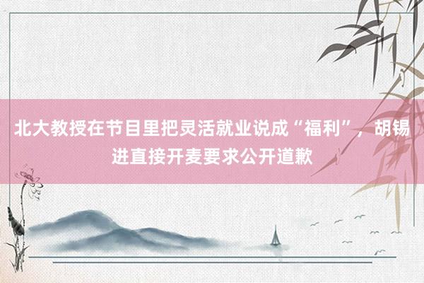 北大教授在节目里把灵活就业说成“福利”，胡锡进直接开麦要求公开道歉
