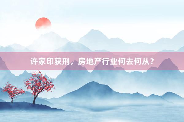 许家印获刑，房地产行业何去何从？
