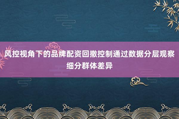 风控视角下的品牌配资回撤控制通过数据分层观察细分群体差异