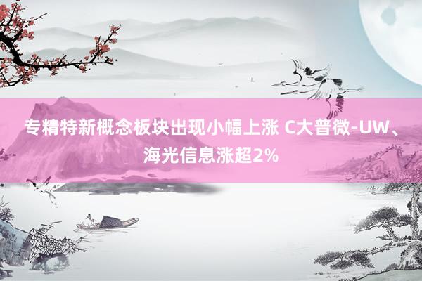 专精特新概念板块出现小幅上涨 C大普微-UW、海光信息涨超2%