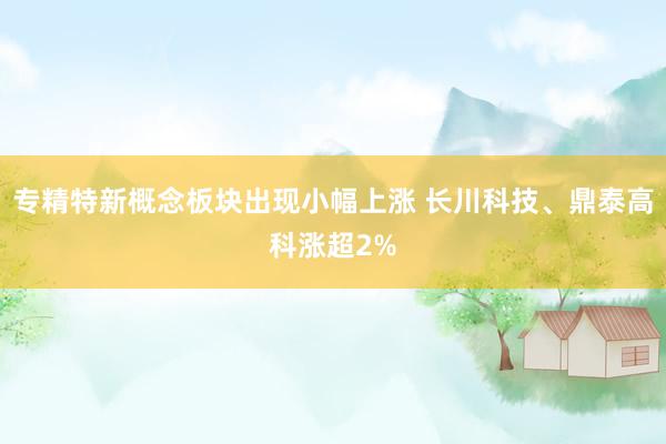 专精特新概念板块出现小幅上涨 长川科技、鼎泰高科涨超2%