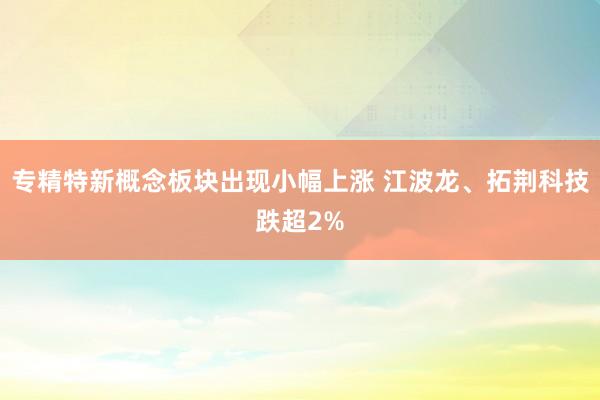 专精特新概念板块出现小幅上涨 江波龙、拓荆科技跌超2%