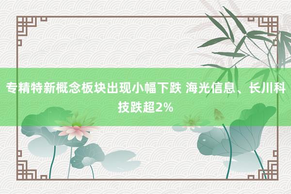专精特新概念板块出现小幅下跌 海光信息、长川科技跌超2%