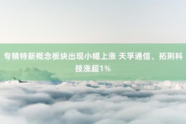 专精特新概念板块出现小幅上涨 天孚通信、拓荆科技涨超1%