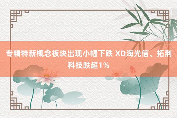 专精特新概念板块出现小幅下跌 XD海光信、拓荆科技跌超1%
