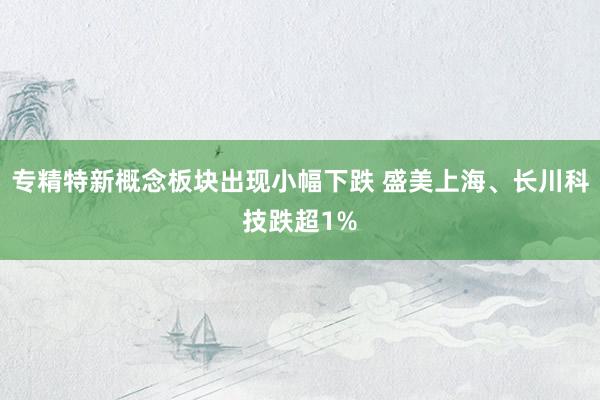 专精特新概念板块出现小幅下跌 盛美上海、长川科技跌超1%