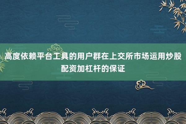 高度依赖平台工具的用户群在上交所市场运用炒股配资加杠杆的保证