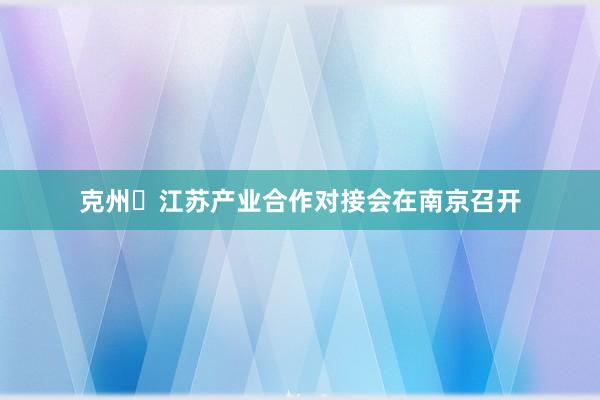 克州・江苏产业合作对接会在南京召开