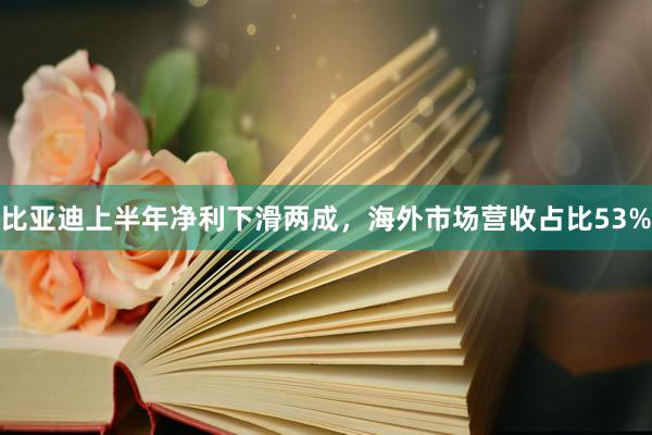比亚迪上半年净利下滑两成，海外市场营收占比53%