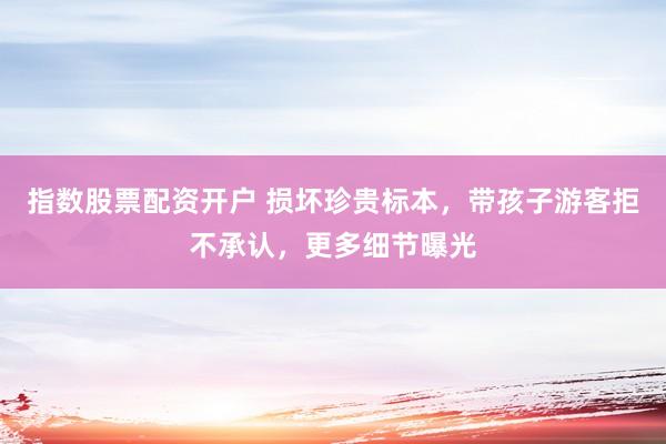 指数股票配资开户 损坏珍贵标本，带孩子游客拒不承认，更多细节曝光