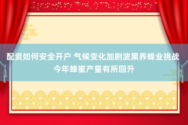 配资如何安全开户 气候变化加剧波黑养蜂业挑战 今年蜂蜜产量有所回升