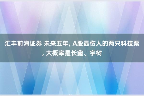 汇丰前海证券 未来五年, A股最伤人的两只科技票, 大概率是长鑫、宇树