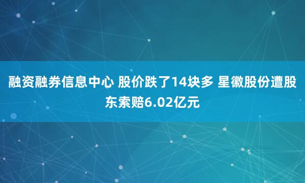 融资融券信息中心 股价跌了14块多 星徽股份遭股东索赔6.02亿元