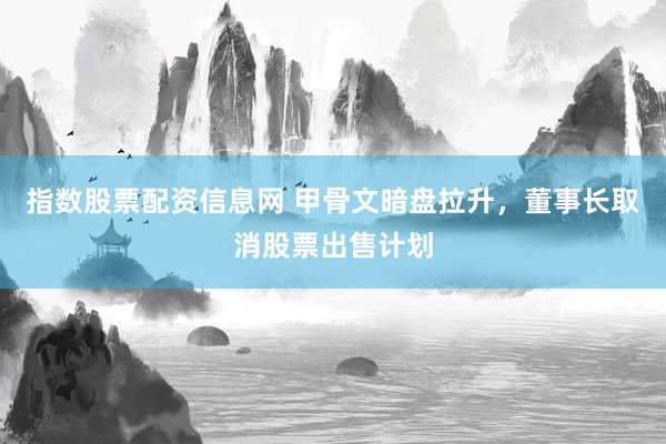 指数股票配资信息网 甲骨文暗盘拉升，董事长取消股票出售计划