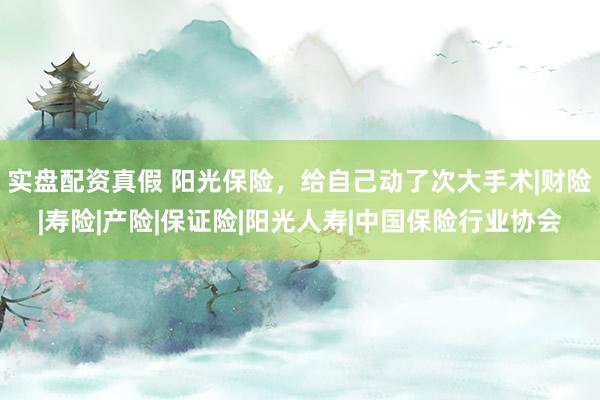 实盘配资真假 阳光保险，给自己动了次大手术|财险|寿险|产险|保证险|阳光人寿|中国保险行业协会