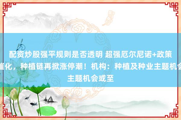 配资炒股强平规则是否透明 超强厄尔尼诺+政策利好催化，种植链再掀涨停潮！机构：种植及种业主题机会或至
